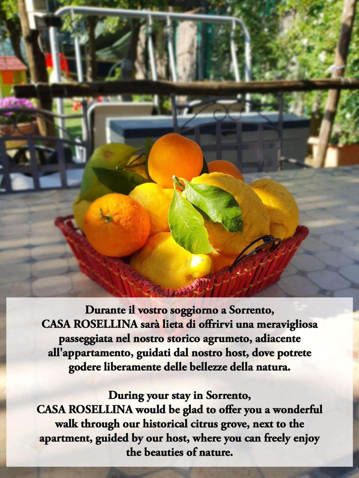 Casa Rosellina Sorrento Βίλα Εξωτερικό φωτογραφία